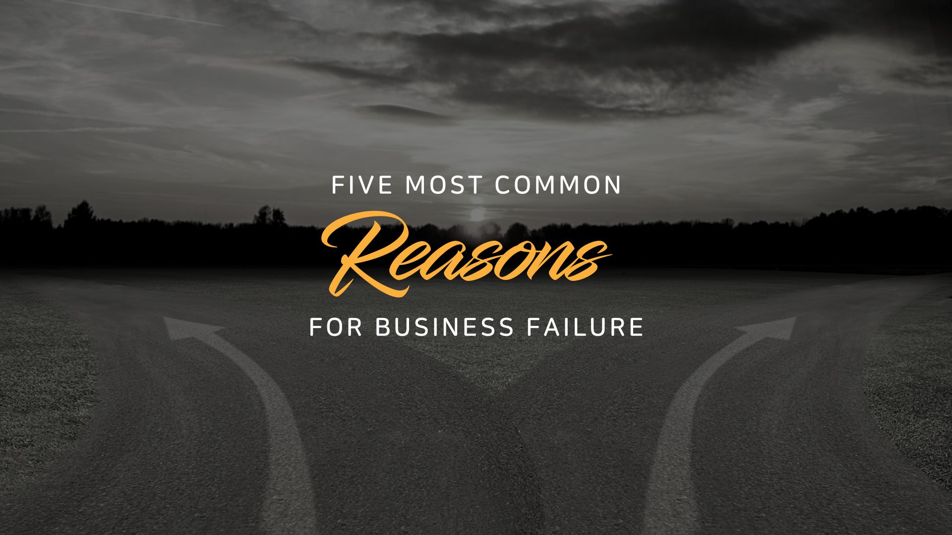 business failure case study pdf